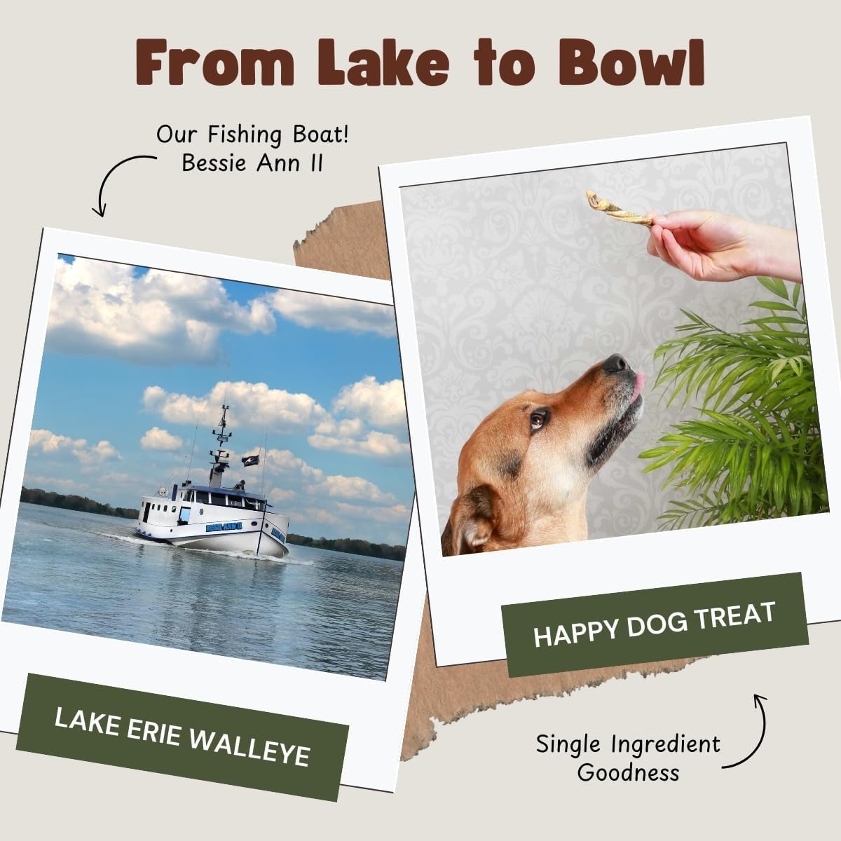 Fish Dog Treats for Small, Medium, Large Dogs | One-Ingredient Natural Organic Dog Training Treats | Human-Grade, High-Protein, Low-Fat, Omega 3, Grain-free | Satisfy Urge to Chew (1LB/16oz Bag)