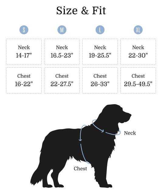 Rawhide-Free Dog Chew Rolls with Chicken – 4 Count, Highly Digestible Medium Chews for Any Size Dog, No Artificial Colors or Flavors, 8.47 oz Bag