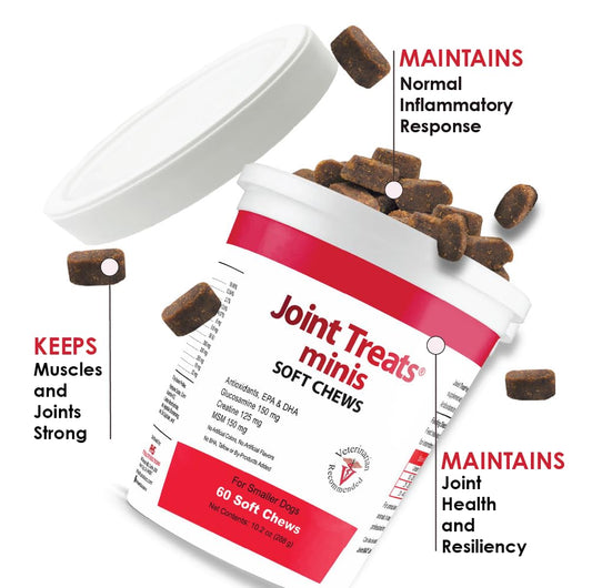 Joint Treats MINIS for Smaller Dogs - Vitamins, Minerals, Antioxidants, Omega-3 Fatty Acids EPA, DHA - Maximum Joint Health Supplement for Dogs - 120 Soft Chews