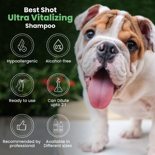 Best Shot Ultra PowerWash Shampoo 1 Gallon