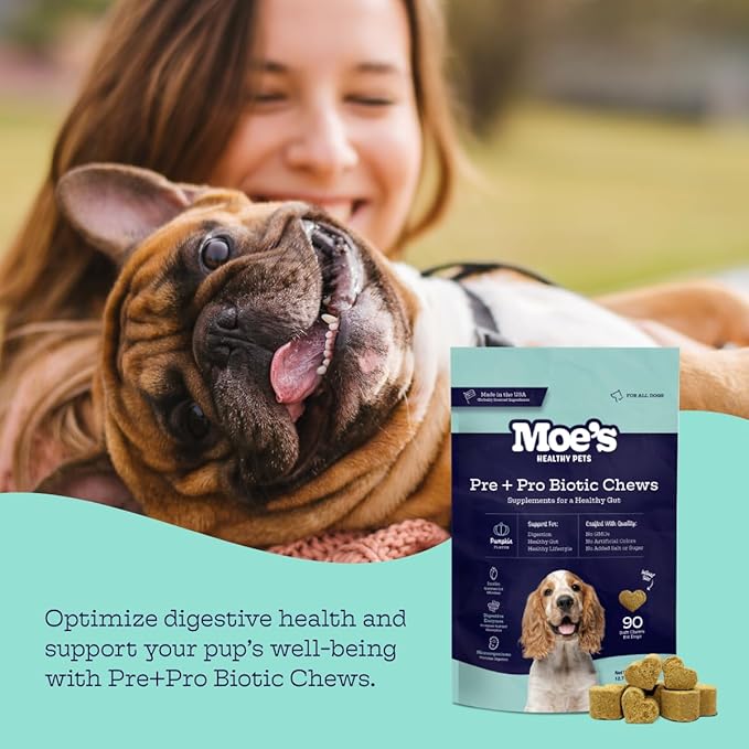 Moe’s Probiotic Chews for Dogs 90ct – Pumpkin Flavor Prebiotics & Probiotics for Gut Health, Digestion, Immunity and Itchy Skin Relief