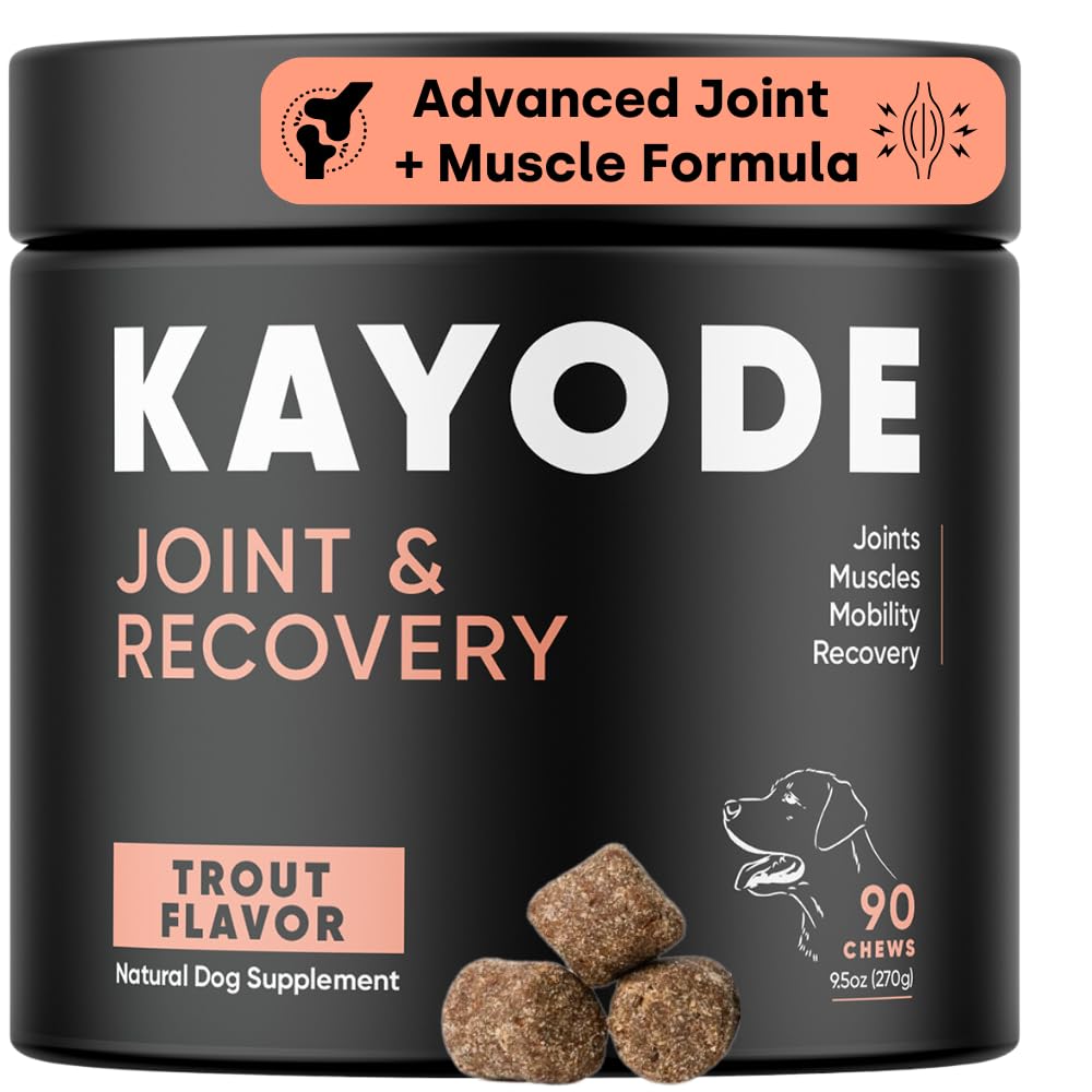 Joint & Recovery | 2-in-1 Joint & Muscle Chews. Help Reduce Pain & Increase Daily Activity. Helps with Arthritis and Pain Prevention. Tasty Trout Flavor.