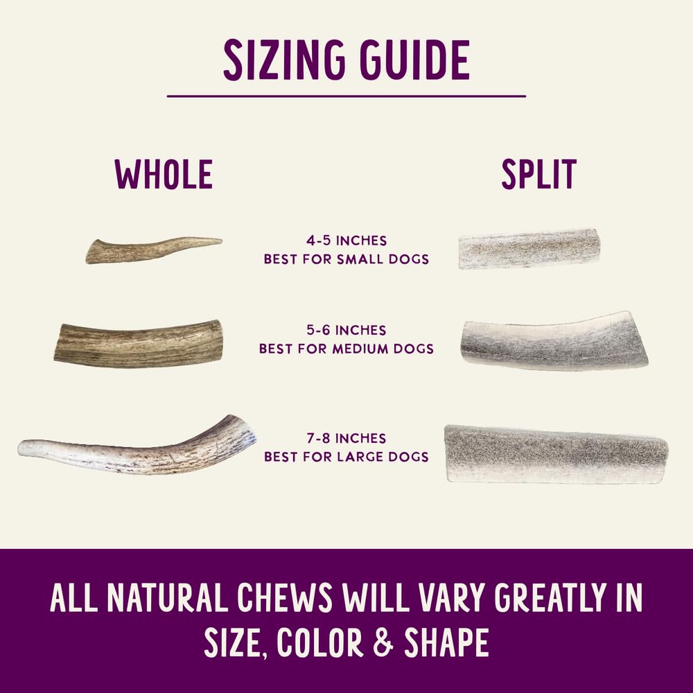 Health Extension Small Sliced Elk Antlers for Dogs – Long-Lasting Natural Chews for Dental Health, Puppy Training & Aggressive Chewers