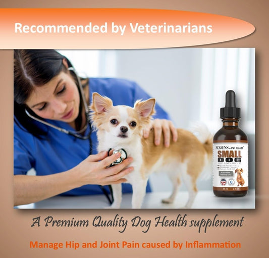 Nodens Cat Hip and Joint and Small Dog Hip and Joint 100% Natural Glucosamine for Cats and Small Dogs. Chondroitin, MSM, Hyaluronic Acid Arthritis Pain Relief for Cats and Dog Joint Pain. Made in USA