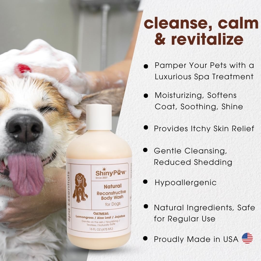 Oatmeal Shampoo for Dogs | ShinyPaw Dog Shampoo for Allergies and Itching | Controls Dog Shedding Naturally | Itchy Skin Relief for Dogs | Tearless Dog Shampoo & Conditioner Made in The USA | 16 oz