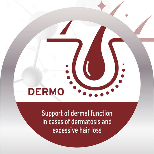 Forza10 Dermo Allergy Dry Dog Food - 22 Pounds - Limited Ingredient Dog Food for Allergies and Itching - for Skin Support, Dermatosis, Hair Loss, Sensitive Stomach for Adult Dogs, Fish Flavor