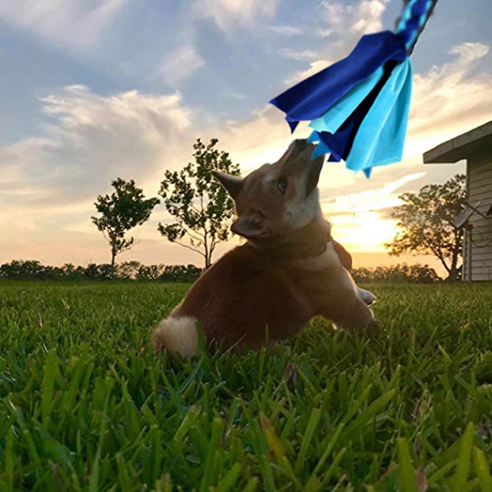 AMYESE Interactive Dog Toys - Extendable Flirt Pole with 2pcs Fleece Lure Tugs for Dog Outdoor Entertainment, Train and Exercise, New Blue