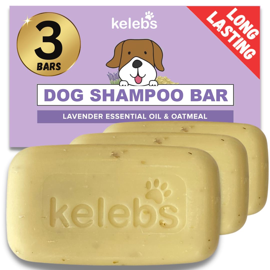 Dogtopia Bright and Shine Shampoo – 12oz Piña Colada Scent | Restoring Shampoo Rich with Soothing Colloidal Oatmeal | Tearless and Alcohol-Free for Everyday Use