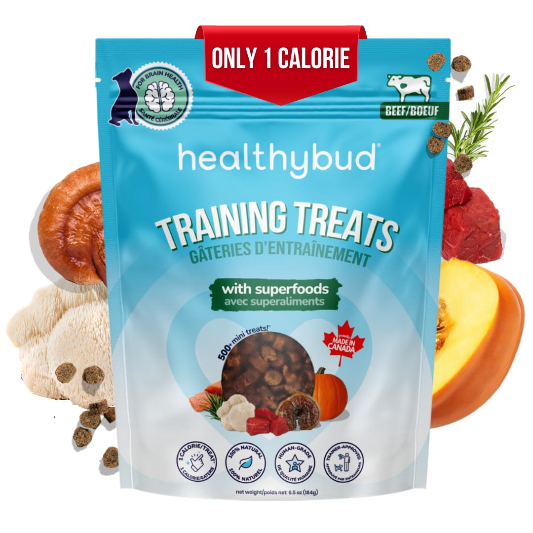 healthybud Mini Dog Training Treats - Soft, Low-Calorie Beef Liver Dog Treats for Training Puppies & Small Dogs - 500+ Bites with Reishi, Lion’s Mane, Salmon Oil, Puppy Chews (Beef) 6.5oz