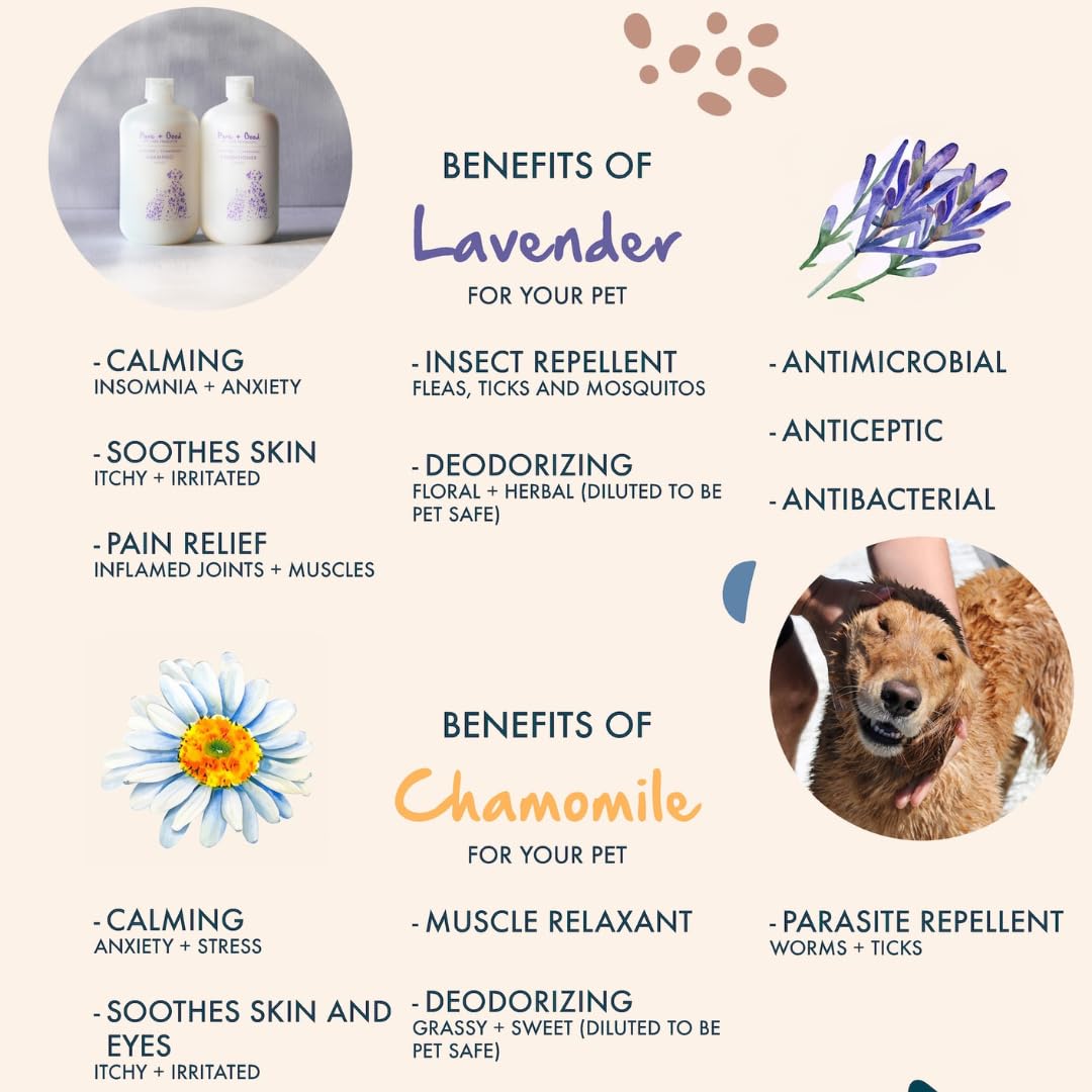 Pure + Good - Lavender + Chamomile Shampoo and Conditioner Set, Soothing Lavender and Herbaceous Chamomile, Formulated for All Pets, Gentle and Cleansing, Made in The USA, Cruelty Free, 16 fl oz