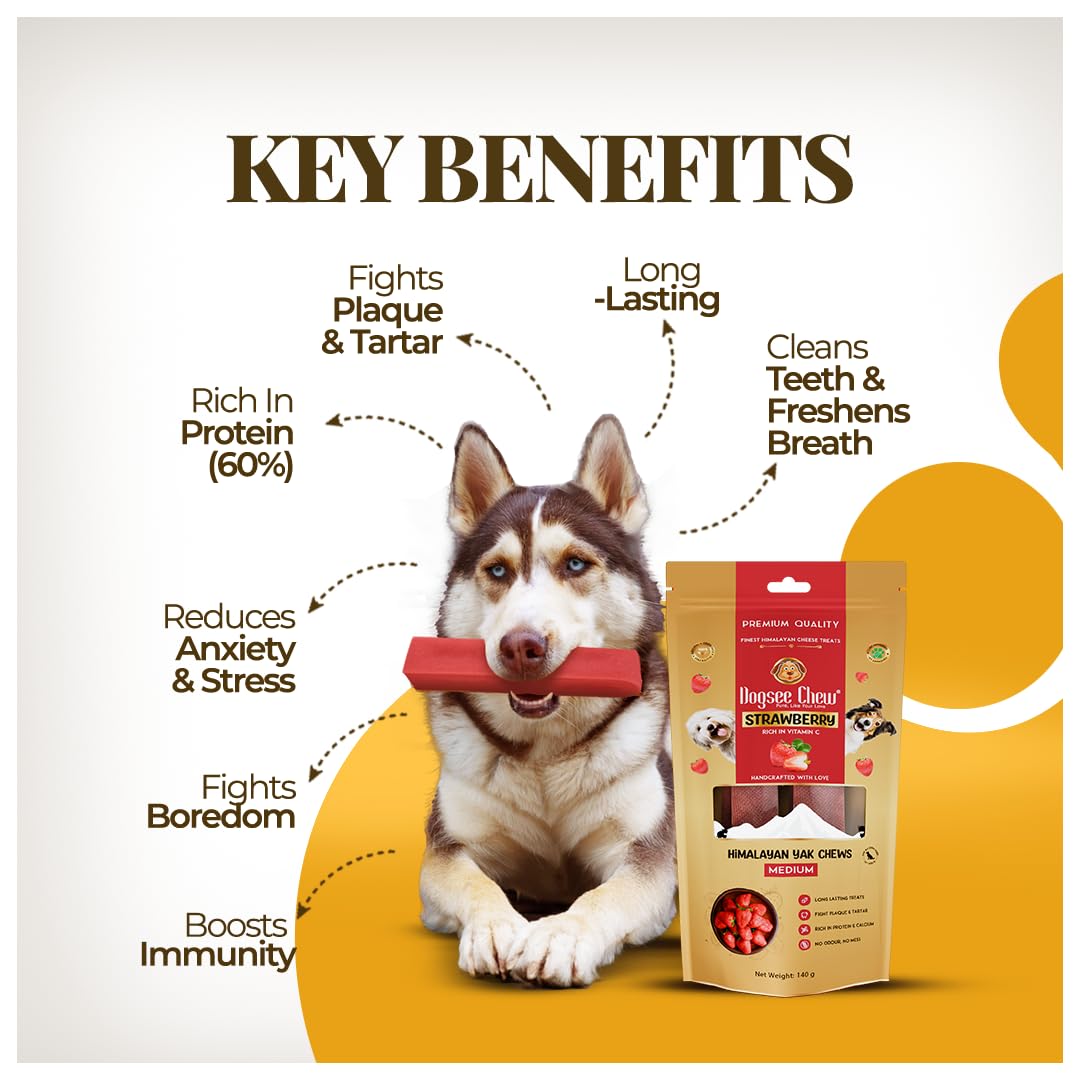 Dogsee Strawberry Flavor Himalayan Yak Cheese Dental Chews for Dogs 1lb (Medium - 6 Chews) | for Healthy Skin & Coat | No Grain, No Gluten | Odorless Dog Treats…