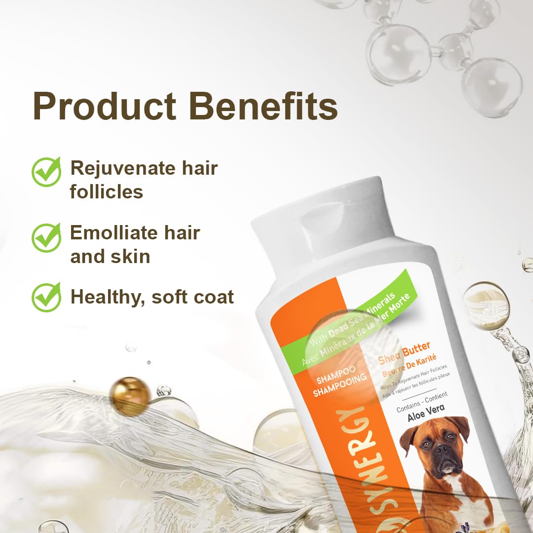 Spa Synergy Pet Dog Shampoo Natural Dead Sea Mineral Rich, Aloe Vera & Vitamin-E, Rejuvenate Hair Follicles, Emolliate Hair & Skin – Shea Butter - (1) Bottle 16.5 FL OZ