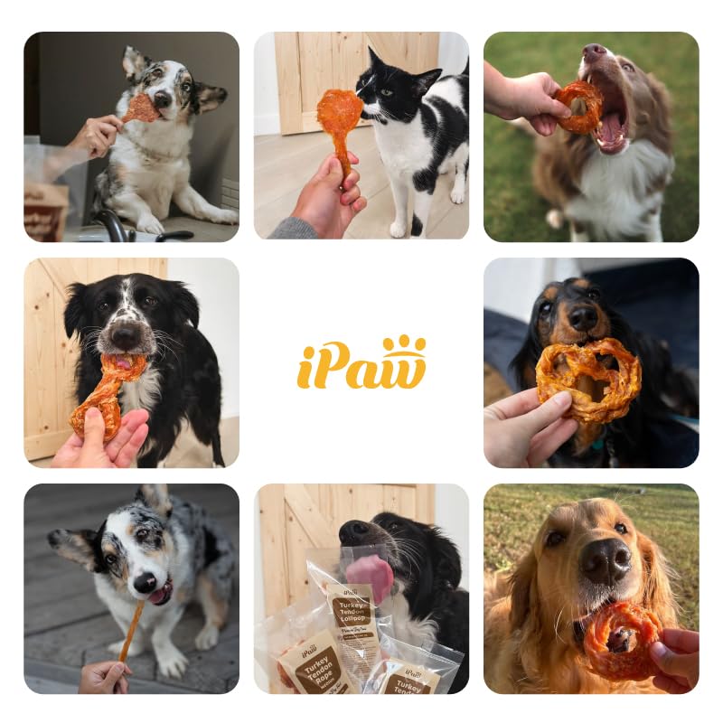 iPaw Turkey Tendons for Dogs, 100% Turkey and US Sourced Raw Material, Hypoallergenic, All Natural Human Grade Puppy Chew, Rawhide Alternative Dog Treats, 1 Unit/Pack Strip (Large)