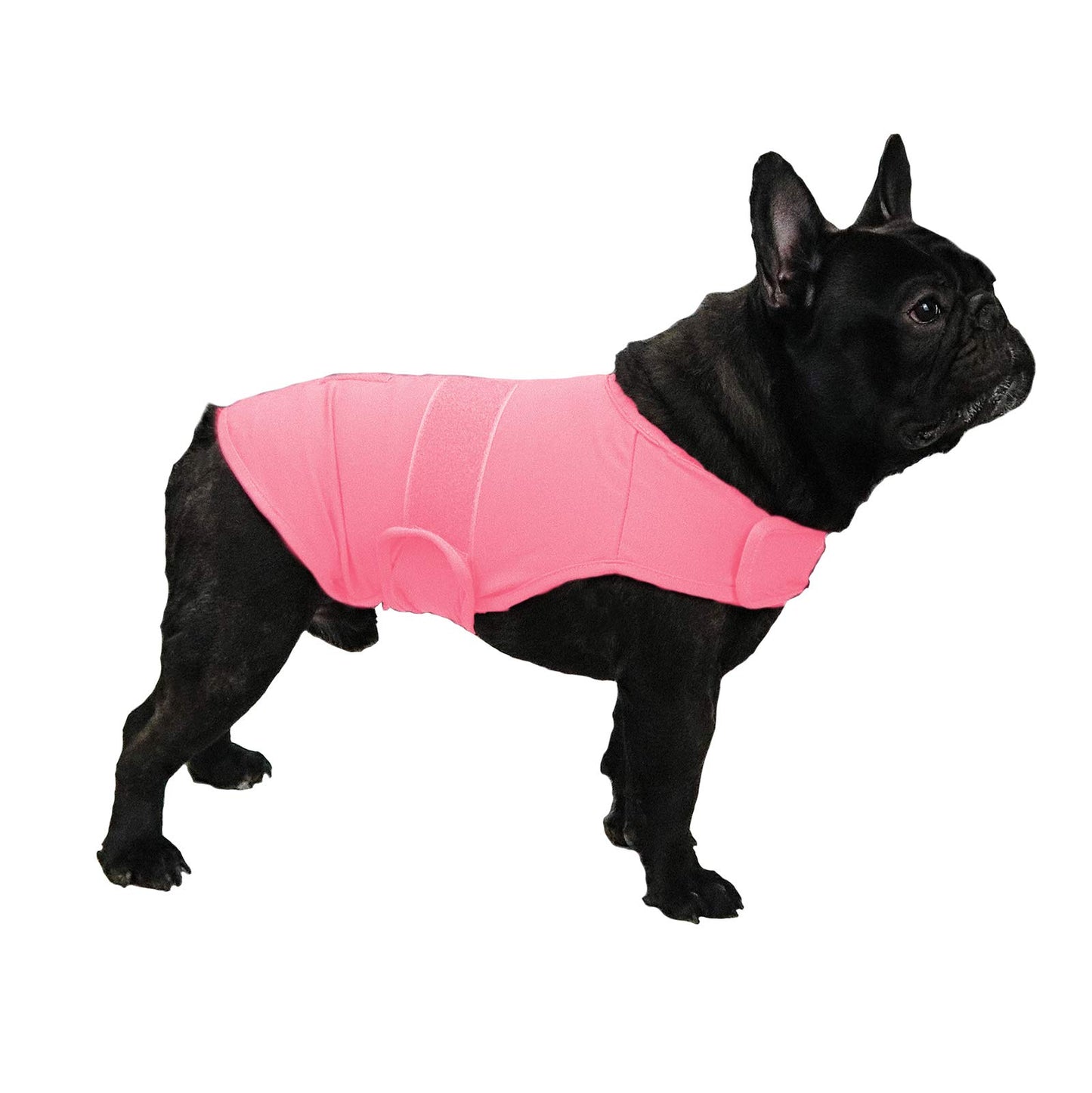 balancepaw Thunder Jacket for Dogs Anxiety Relief, Dog Anxiety Vest Calming Care for Separation, Thunderstorm, Travel, Fireworks, Vet Visits (Pink M)