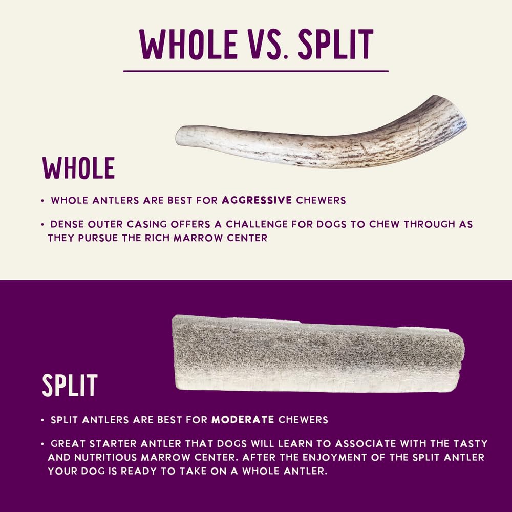 Health Extension Small Sliced Elk Antlers for Dogs – Long-Lasting Natural Chews for Dental Health, Puppy Training & Aggressive Chewers