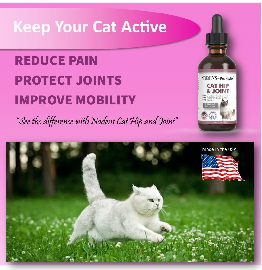 Nodens Cat Hip and Joint and Small Dog Hip and Joint 100% Natural Glucosamine for Cats and Small Dogs. Chondroitin, MSM, Hyaluronic Acid Arthritis Pain Relief for Cats and Dog Joint Pain. Made in USA