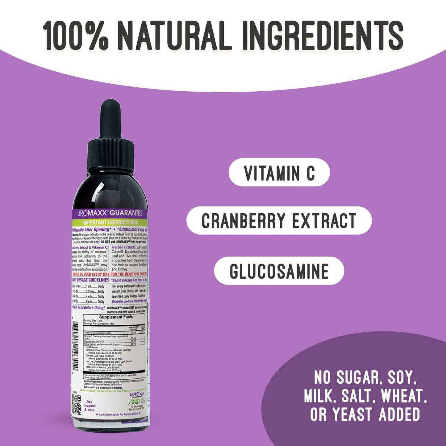UroMAXX, Cat & Dog Urinary Tract Treatment, Bladder & Kidney Support for Dogs and Cats, Powerful Yet Gentle Pet Care, with Liquid Cranberry & Glucosamine, Salmon Flavor, 6 oz Bottle, 1 Pack