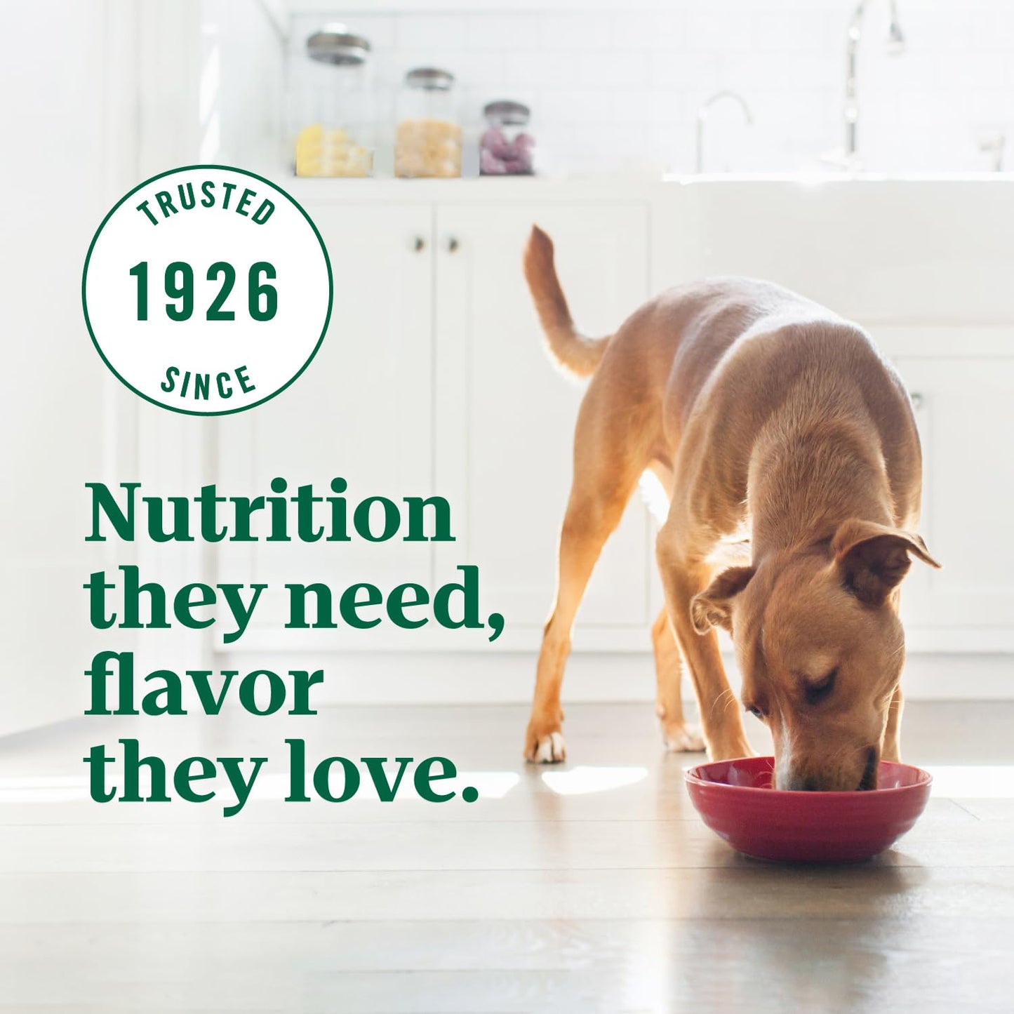 Nutro Ultra Adult Dry Dog Food with a Trio of Proteins from Chicken, Lamb and Salmon, 30 lb Bag