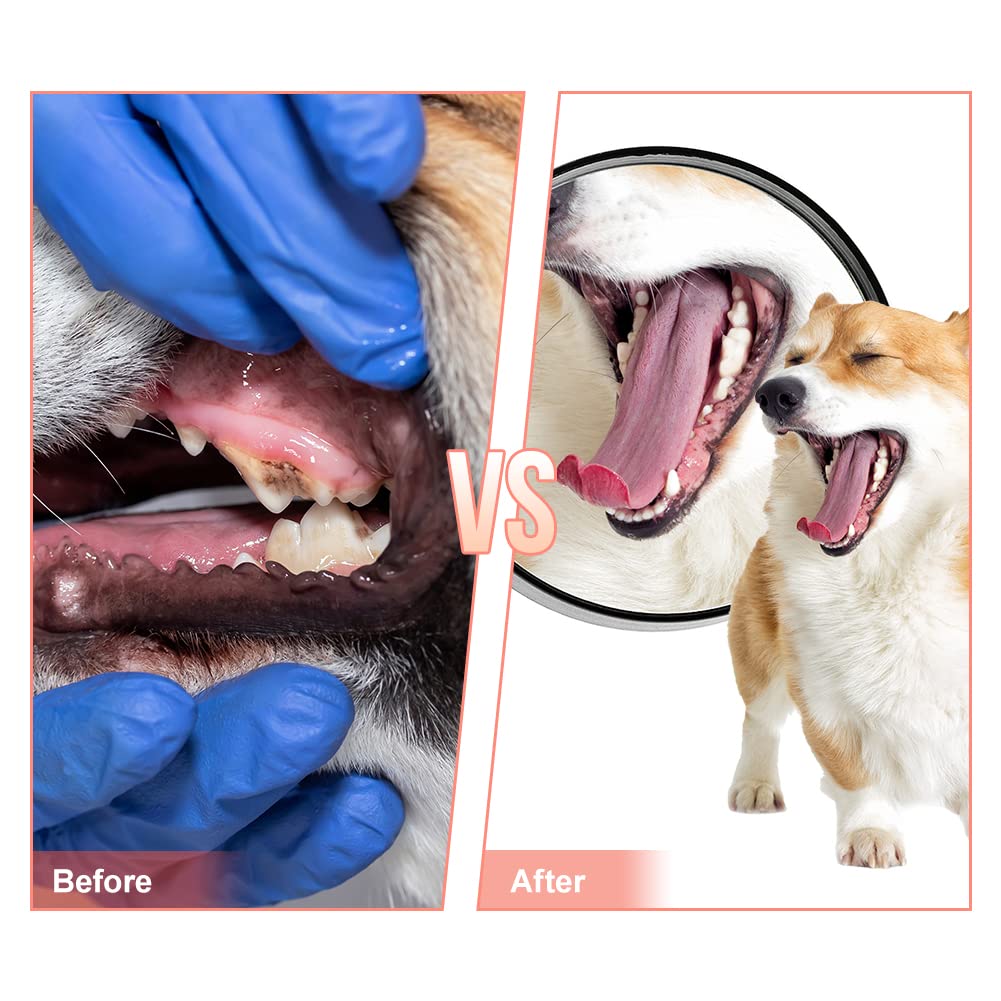 MONDOTOY Dog Chew Toy,Durable Rubber Slipper Toy for Puppy,Dog Tough Toys for Pet Training and Cleaning Teeth,Interactive Puppy Toys Aggressive Chewers Small Meduium Breed (Color)