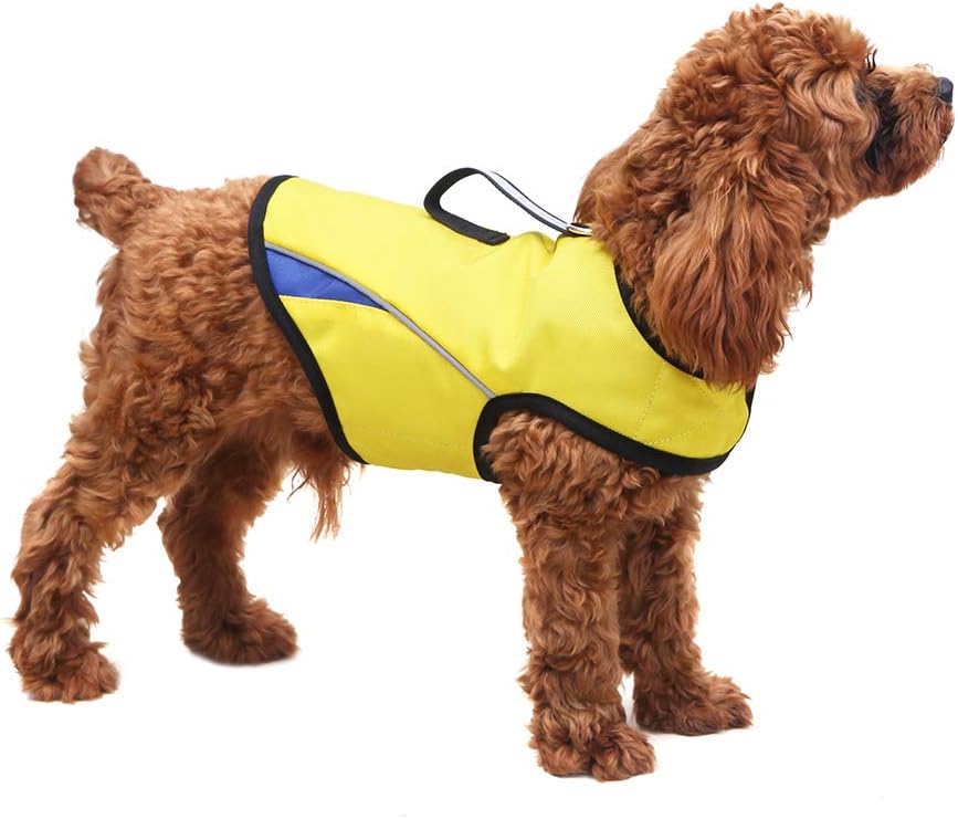 Dog Anxiety Jacket Keep Calming Vest Thunder Coat with D-Ring and Training Handle for Small Dogs