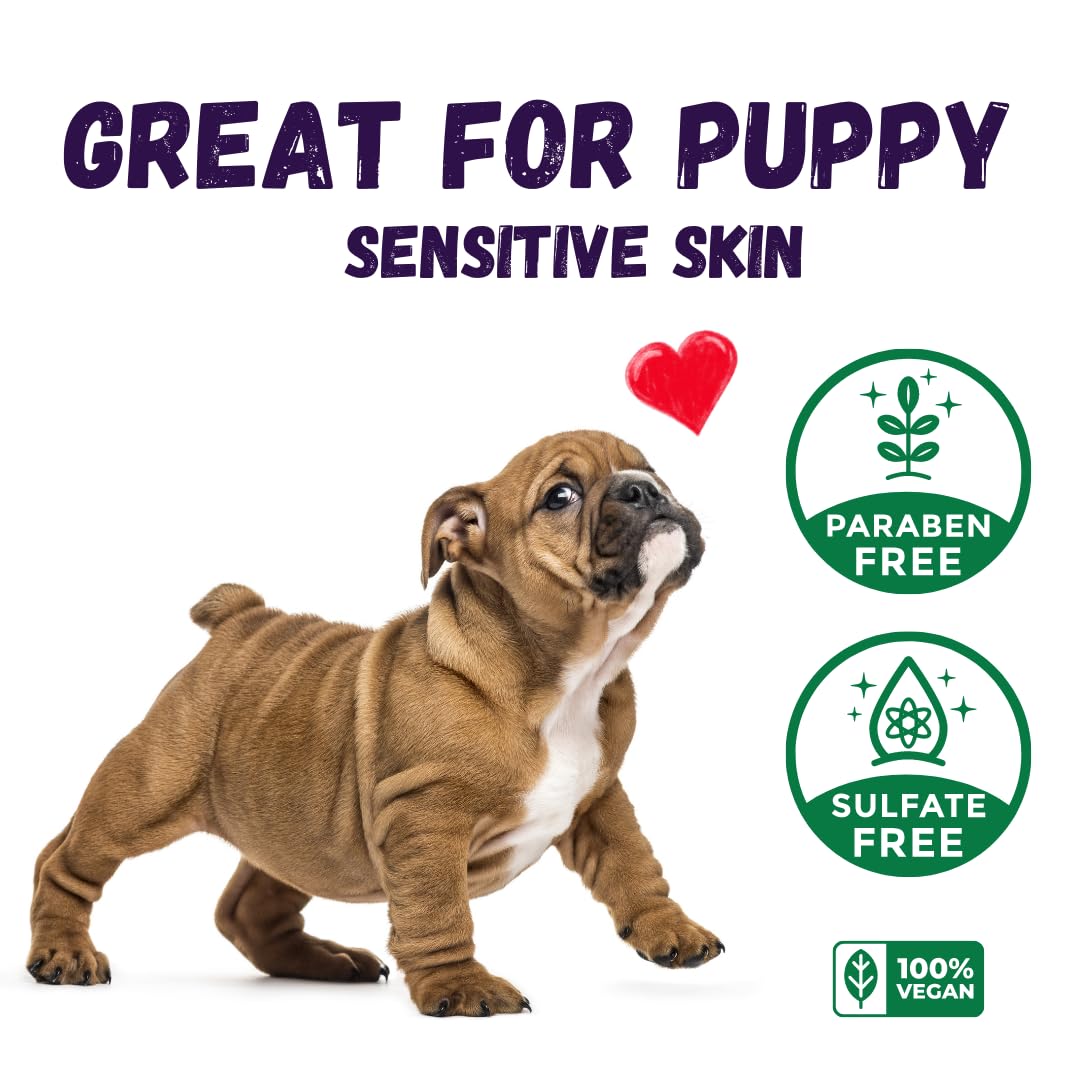 Kelebs Dog Shampoo | Allergies and itching | Dog Shampoo for Sensitive Skin | All Natural Dog Soap Bar with Lavender Oil & Oatmeal | No Plastic Vegan | 3PCS