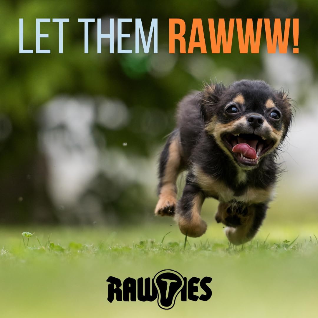 Nutrish Small Breed Real Chicken & Veggies Recipe Whole Health Blend Dry Dog Food, 14 lb. Bag, Packaging May Vary (Rachael Ray)