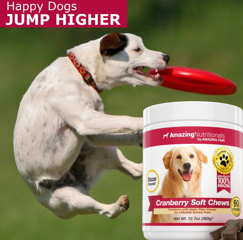 Joint Support Dog UTI Treatment Bundle - Turmeric, Cranberry Eliminates Joint Pain Inflammation and UTI Prevention
