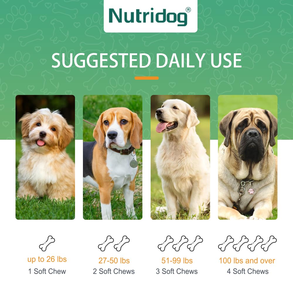 Nutridog Allergy Powder for Dogs, 90g Salmon Flavor - Itch Relief & Immune Support with Probiotics, Quercetin & Salmon Oil | Vet-Approved Formula for Seasonal Allergies & Sensitive Skin (Salmon)