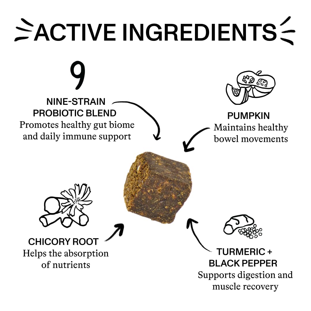 Spot & Tango Probiotics Supplements for Dogs - Vet-Approved for Healthy Digestion and Balanced Gut - Pumpkin, Turmeric, Chicory Root, Black Pepper, Nine-Strain Probiotic Blend, 56 Count