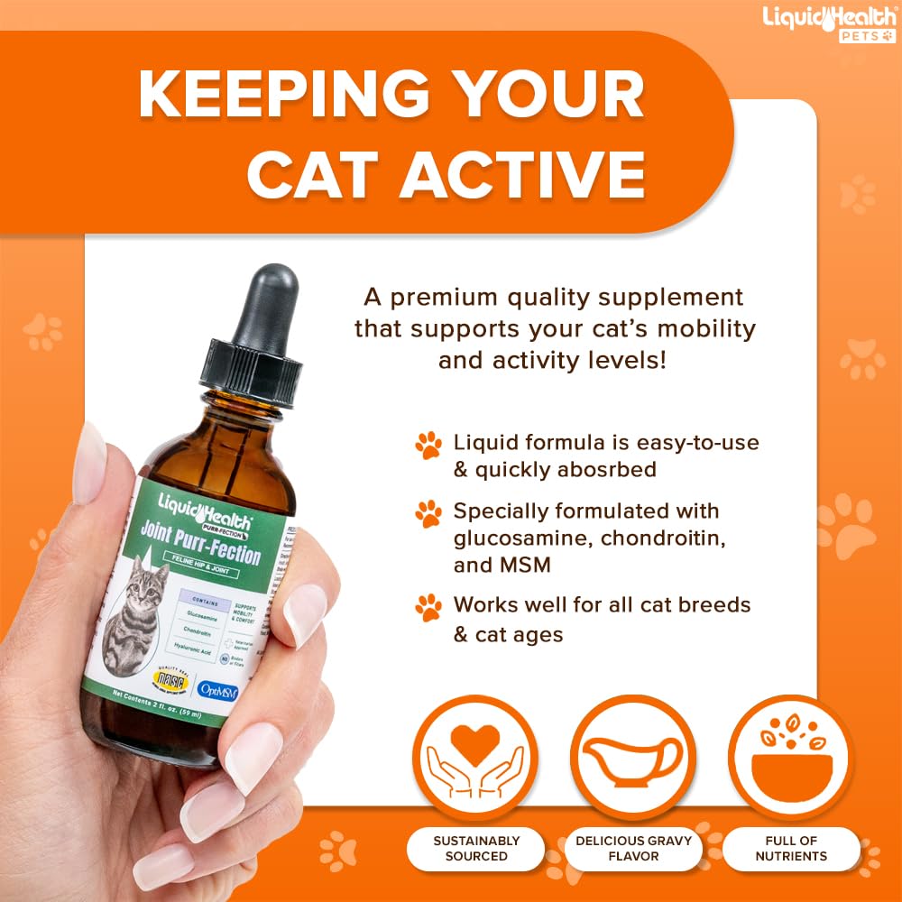 LIQUIDHEALTH Pets K9 Complete 8-in-1 Multivitamin for Dogs & Puppies & Joint Purr-Fection Hip & Joint Glucosamine Chondroitin Drops for Cats - USA Made Pet Supplements for Joint Health, Immune Support