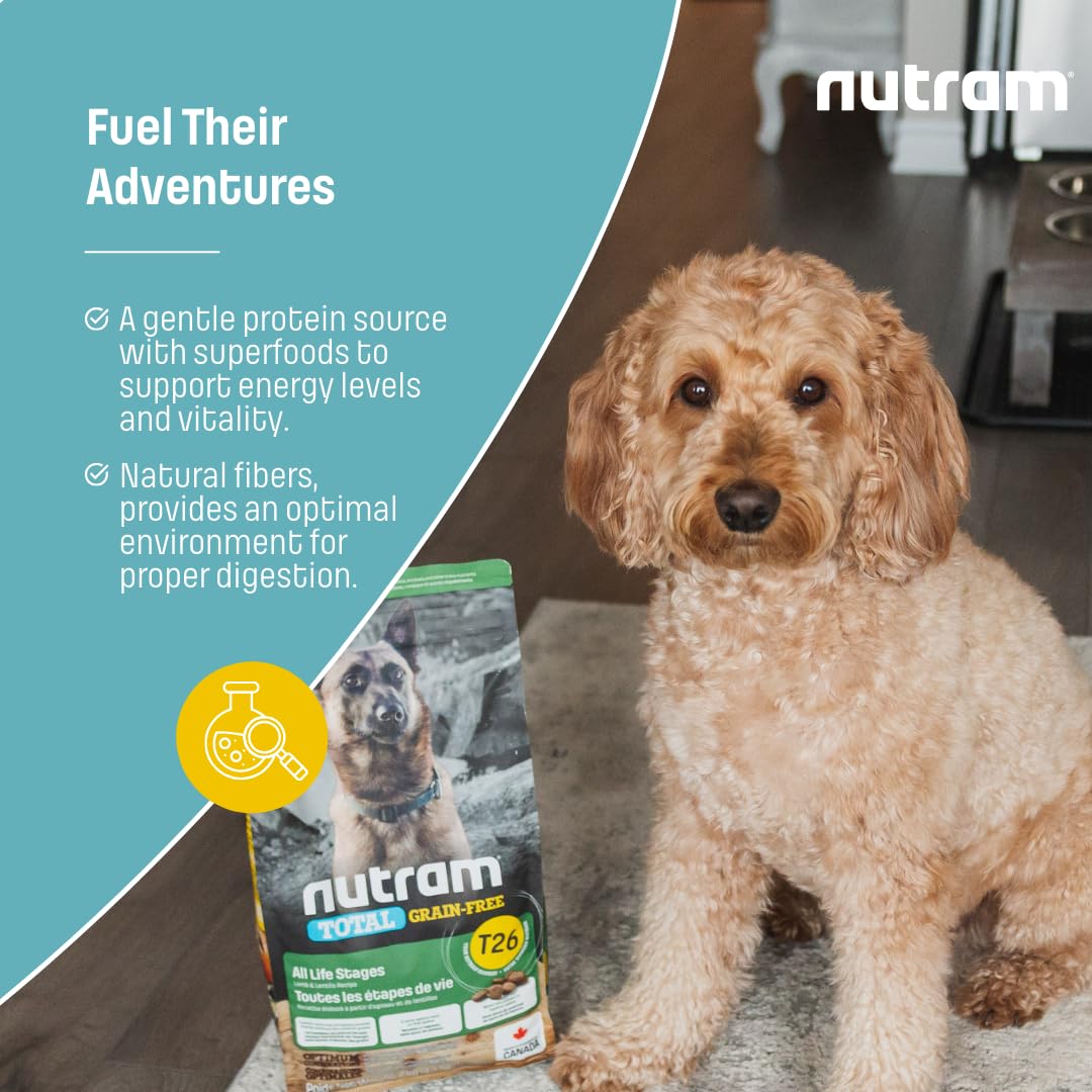 Nutram T26 Grain-Free Lamb & Lentils Dry Dog Food | High Protein, Chicken-Free Kibble with Pumpkin, Flaxseed & Salmon Oil | Easily Digestible, Allergy-Friendly for Puppies, Adults & Seniors