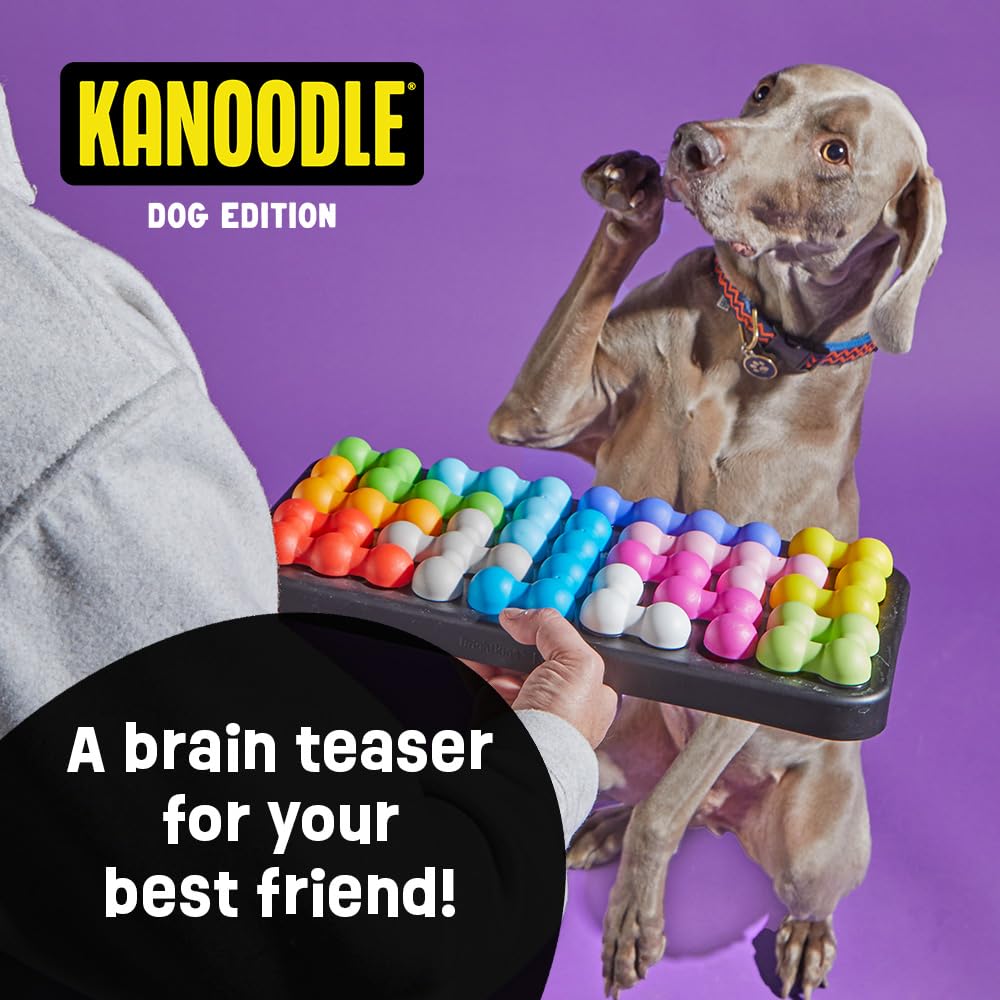 Brightkins Kanoodle Dog Edition Large, Interactive Dog Toys, Enrichment Toy for Dogs, Slow Feeder