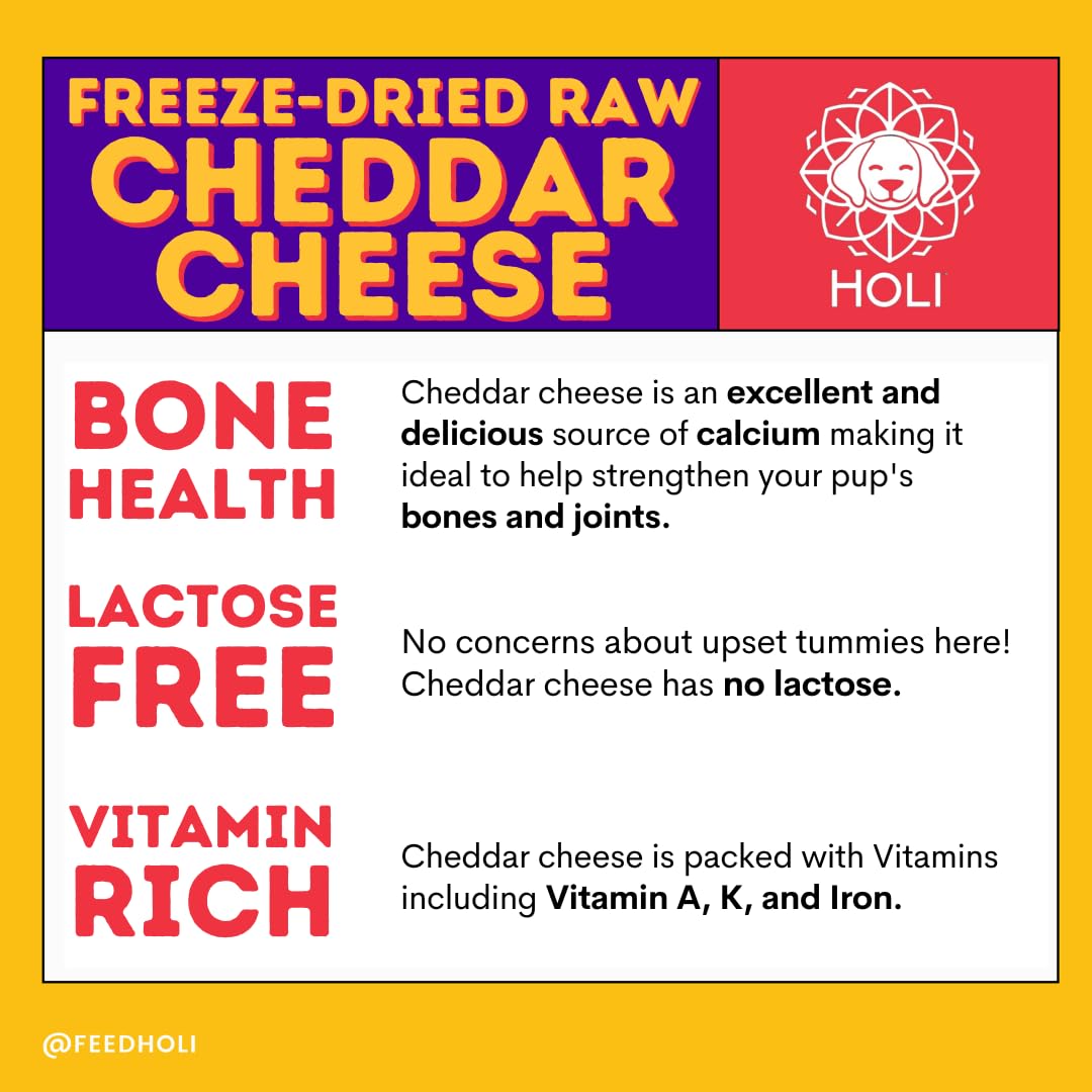 HOLI Freeze Dried Cheddar Cheese Dog Treats - 100% All Natural - Human Grade, Single Ingredient, Lactose Free - Grain Free, Gluten Free, Soy Free – (10 Ounce)