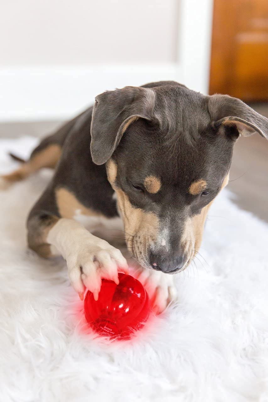 Dog Slow Feeder Lick Bowl, Anxiety Relief Dog Licking Mat Treat Dispenser, Non-Slip Anti-Choking Slow Eating Lick Bowl for Small Medium and Large Breed Dogs, BPA Free Silicone (M-L)