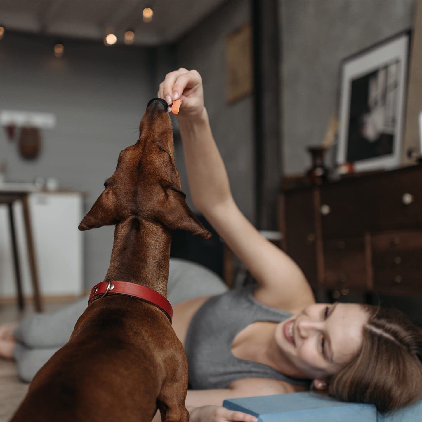 Pawmate Sweet Potato Dog Treats, Healthy Low Fat Dog Chews Rawhide Free Grain Free Training Treats for Small Medium Large Dogs 27-31 Counts