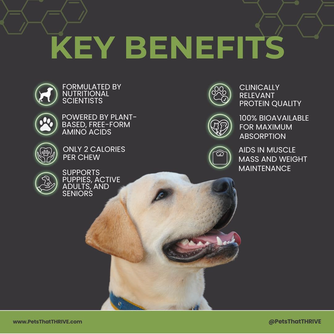 Thrive Daily - Amino Acids Supplement for Dogs - Supports Muscle Health, Energy, Healthy Joints, Skin & Coat - Suitable for Dogs All Ages & Sizes - 30 Soft Chews, 4.8oz