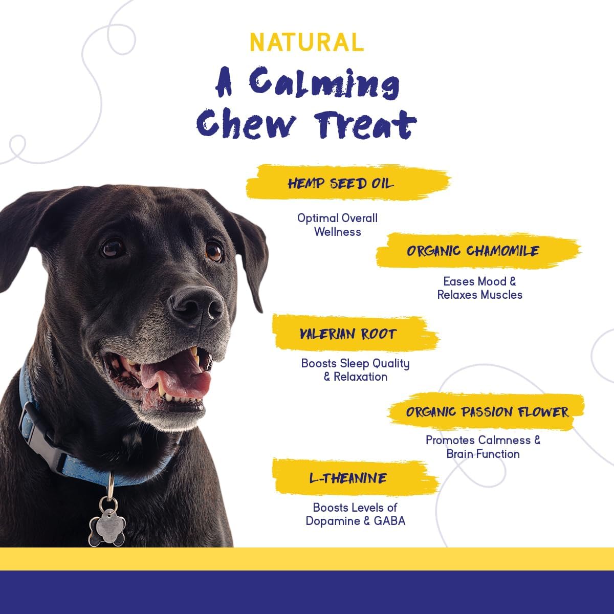 PupGrade Calming Soft Chews - Promotes Relaxation & Helps Manage Stress for All Dogs - Supports Calm Stomachs & Muscles - No Wheat, Corn, or Artificial Ingredients - Meat Flavored - 60 Soft Chews
