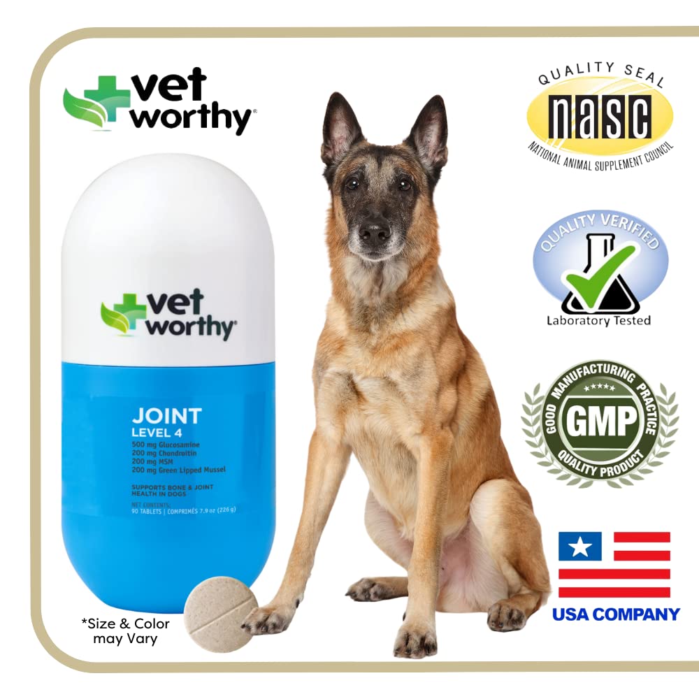 Hemp + Glucosamine Dog Treats for Picky Eaters Bundle + Hip & Joint Supplement w/Hemp Oil Chondroitin MSM Turmeric + Omega-3 - Natural Pain Relief + Chicken Flavor - 120 +180 Soft Chews - Made in USA