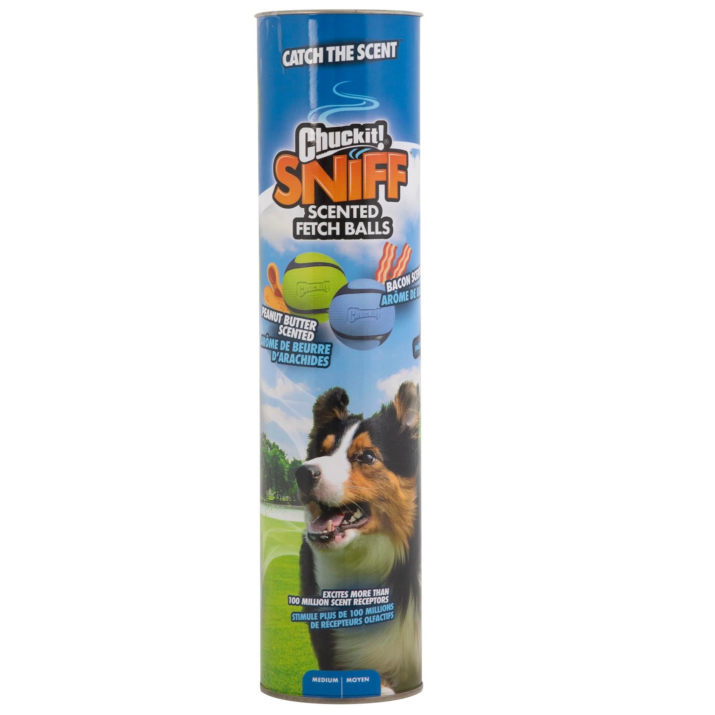 Chuckit! Sniff Fetch Balls Canister, Pack of 4, for Medium Dog Breeds (20-60 lbs)