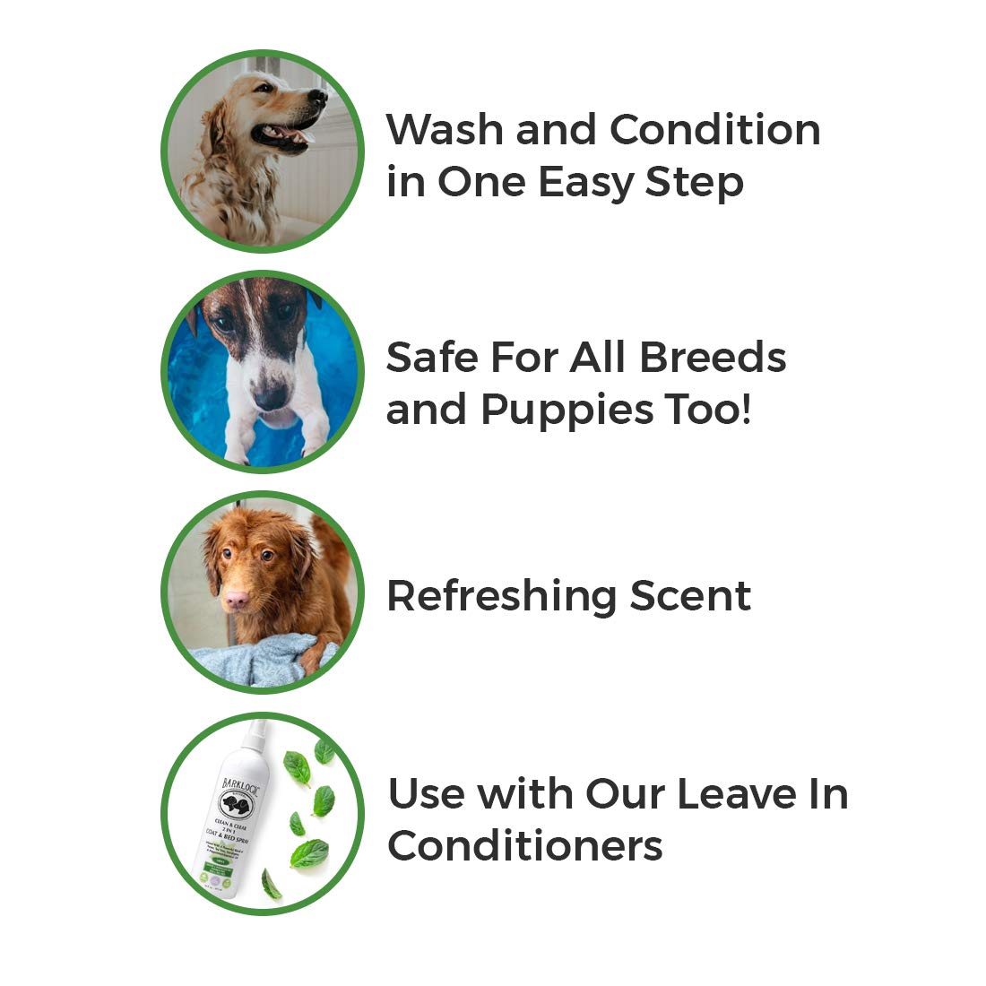 Clean & Clear 2 in 1 Shampoo & Conditioner, Mint, 16 fl oz - Grooming Essentials for A Quality Coat - No Parabens, No Phthalates, No Sulfates, No DEA & PEG, Safe & Vegan