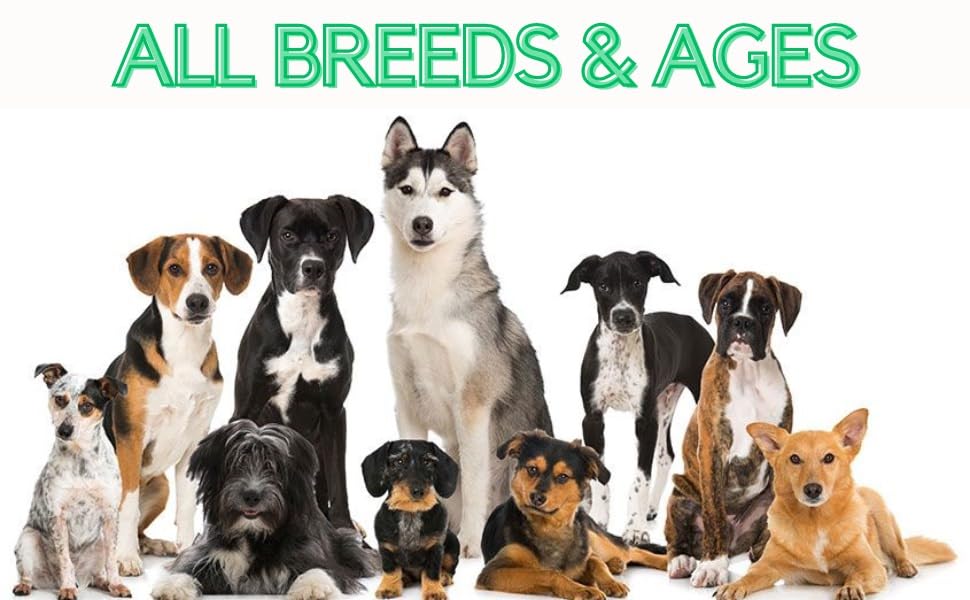 Dog Multivitamin Chews – 8-in-1 Supplement with Glucosamine, Probiotics, Omega, Enzymes – Joint, Skin, Coat, Immune & Digestion Support – Natural Chicken Flavor – 120 Soft Chews