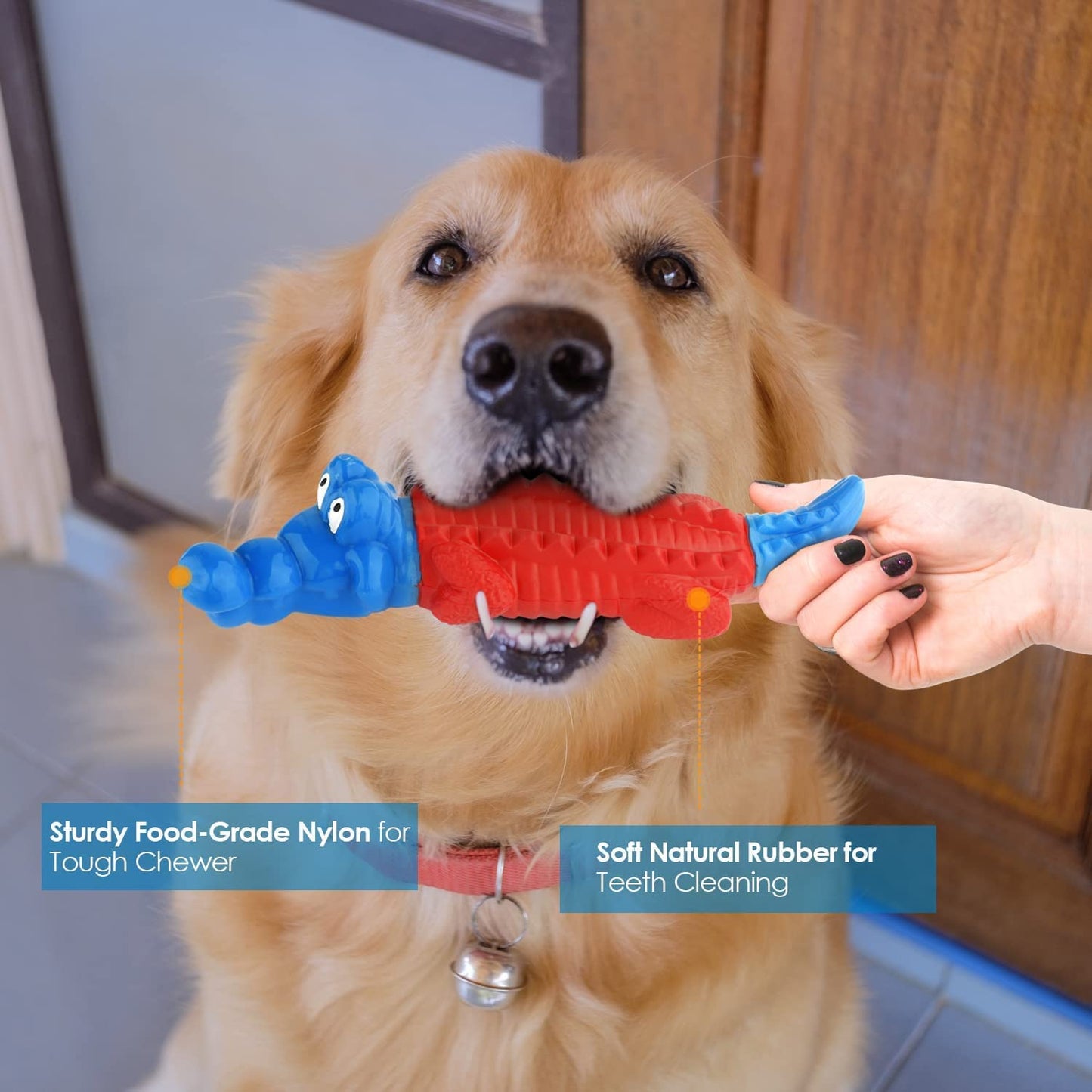 petizer Squeaky Dog Toy and Dog Chew Toy Set