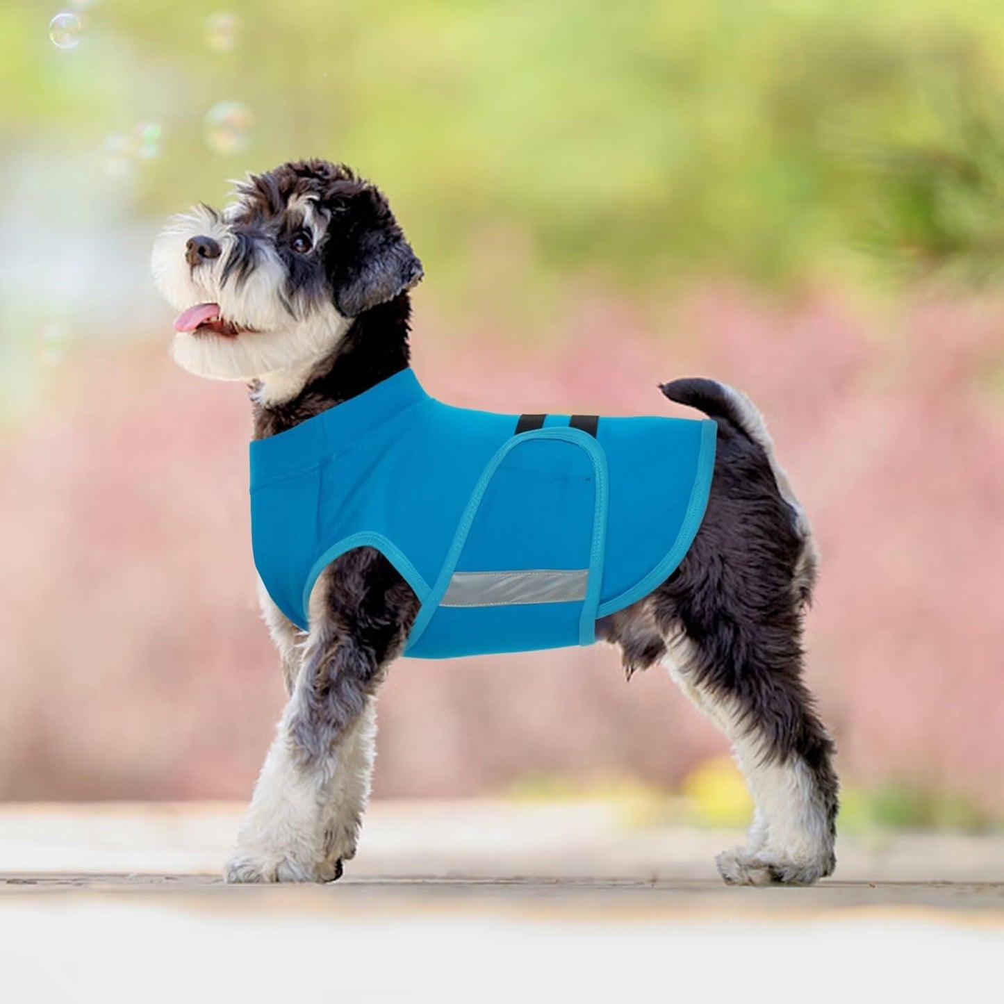 MIGOHI Breathable Dog Anxiety Calming Vest,Dog Firework Anxiety Relief Vest,Dogs Stress and Anxiety Relief Coat,Anxiety Vest for Large Dogs,Blue,XL