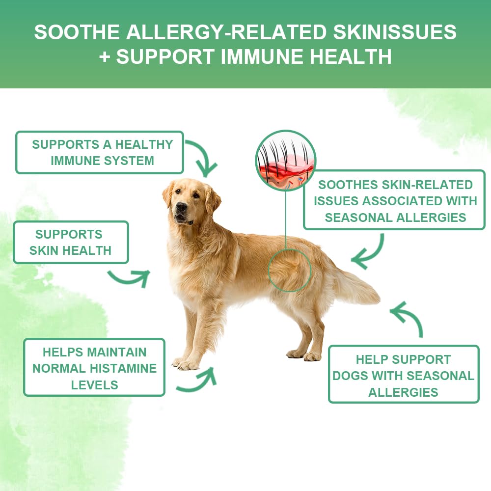 Nutridog Allergy Powder for Dogs, 90g Salmon Flavor - Itch Relief & Immune Support with Probiotics, Quercetin & Salmon Oil | Vet-Approved Formula for Seasonal Allergies & Sensitive Skin (Salmon)