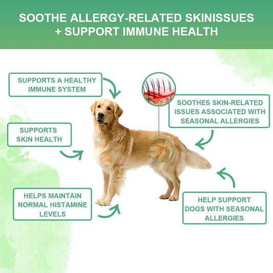 Nutridog Allergy Powder for Dogs, 90g Salmon Flavor - Itch Relief & Immune Support with Probiotics, Quercetin & Salmon Oil | Vet-Approved Formula for Seasonal Allergies & Sensitive Skin (Salmon)