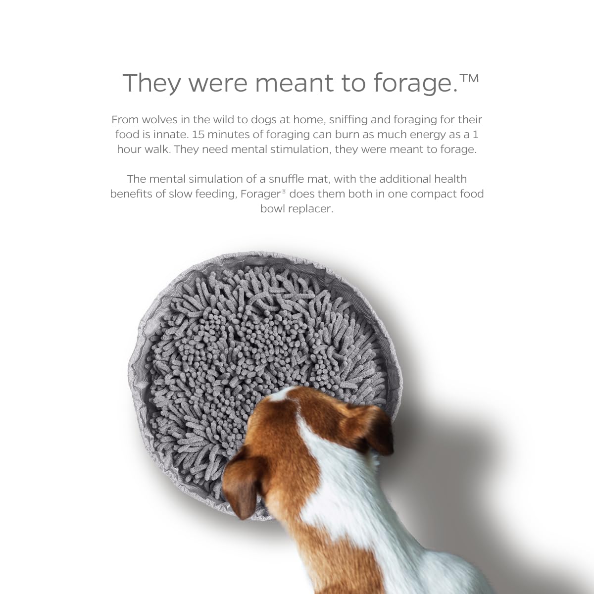 Pet Parents Forager Bowls, Slow Feeder Dog Bowls with SoftSnout & Non-Slip Backing Technology, Dog Feeder Mat & Snuffle Mat for Large Dogs and Small Dogs (Forest Modern Grey)