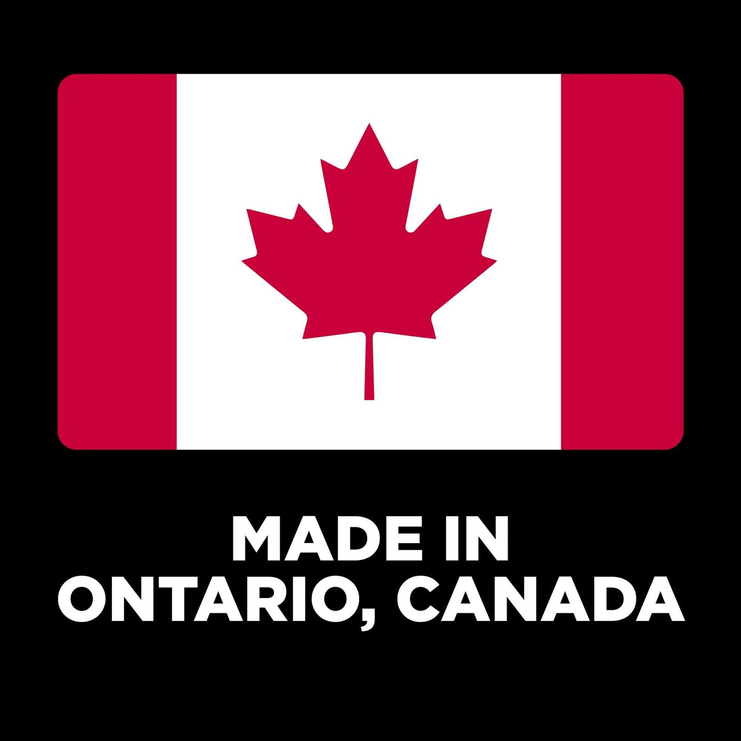 Go! Solutions Skin + Coat Care, Dry Dog Food, Large Breed Adult Salmon Recipe with Grains, 25 lb Bag