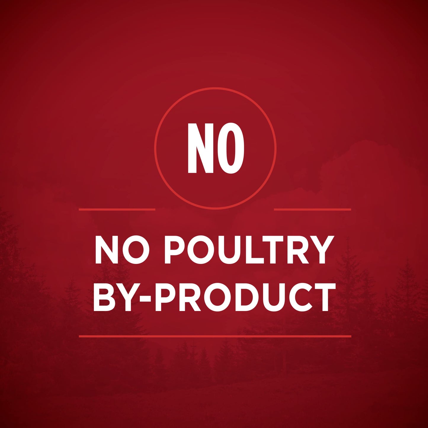 Purina ONE High Protein Wet Dog Food True Instinct Tender Cuts in Dog Food Gravy With Real Chicken and Duck - (Pack of 12) 13 oz. Cans