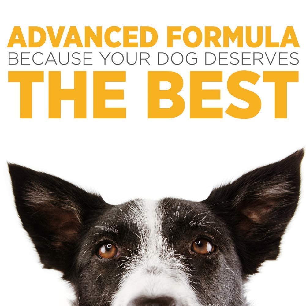 maxxipaws Ultimate Joint Support for Dogs – maxxiflex+ Canine Hip and Joint Supplement & maxxiomega 3 6 9 Omega Fish Oil & maxxiSAMe Advanced SAM-e Support for Dogs