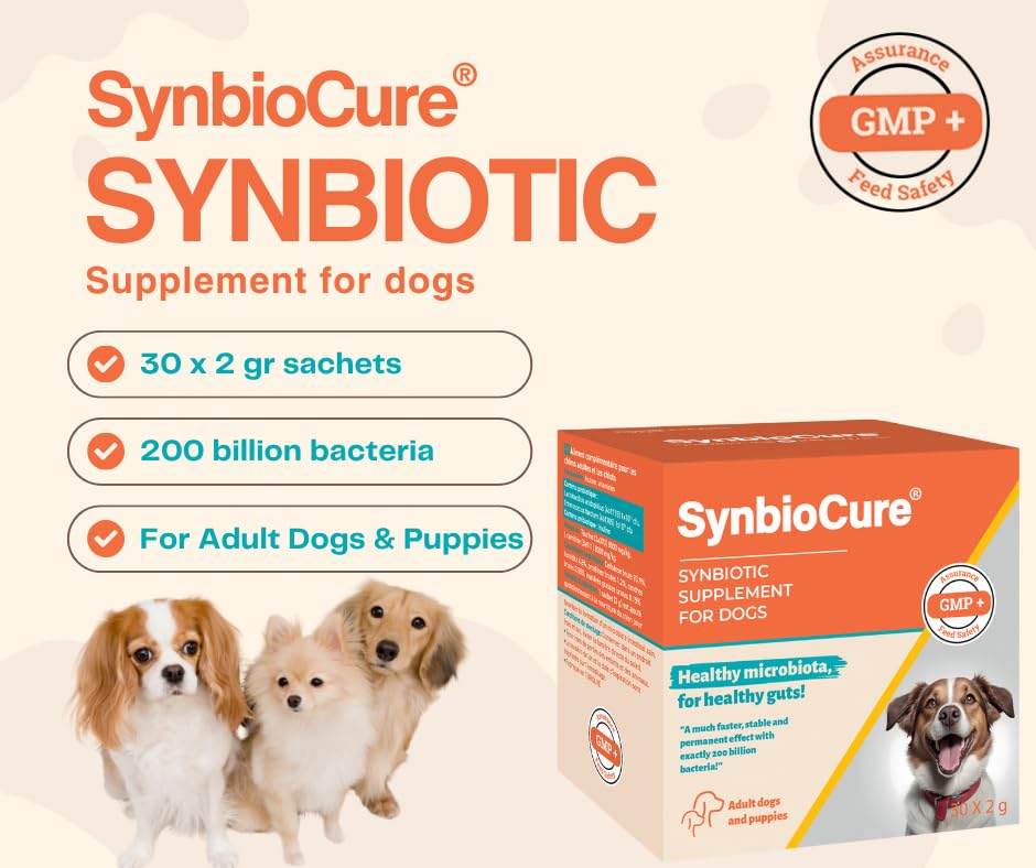 Synbiocure I Probiotics & Prebiotics for Dogs I Powder Dog Supplement I Digestive Health Support I 200 Billion Bacteria Per Sachet I 30 Sachets*2 g